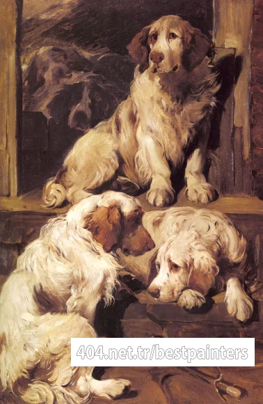 Emms_John_Clumber_Spaniels