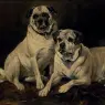 Emms_John_Pugs