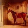 Ferneley_John_A_Saddled_Bay_Hunter_In_A_Stableyard