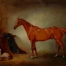 Ferneley_John_Snr_Firebird_And_Policy
