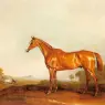 John Ferneley, Snr. (1782-1860)