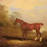 Ferneley_Jr_John_Cecil