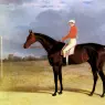 Herring_Snr_John_Frederick_A_Dark_Bay_Racehorse_With_Patrick_Connolly_Up