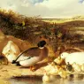 Herring_Sr_John_Frederick_Mallard_Ducks_and_Ducklings_On_A_River