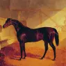 Mr_Johnstones_Charles_XII_in_a_Stable