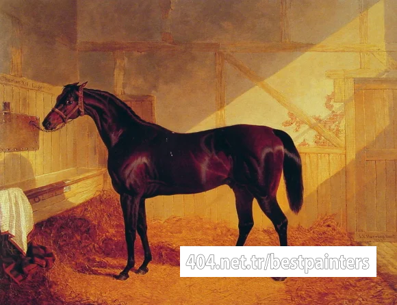 Mr_Johnstones_Charles_XII_in_a_Stable