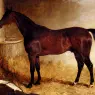 Herring_John_Frederick_Flexible_A_Chestnut_Racehorse_In_A_Loose_Box