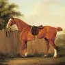 Sartorius_John_Nost_A_Chestnut_Hunter_Tethered_To_A_Fence