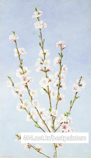 Hill_John_William_Peach_Blossoms