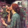 My_Sweet_Rose_CGFA