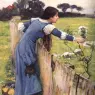 The_Flower_Picker_JW