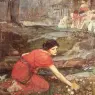 Waterhouse_Maidens_picking_(study)