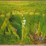 0URO3_0381__JOSH_KIRBY