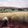 bastien_lepage_jules_les_bles_murs