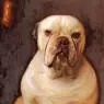 Matsch_Franz_von_A_Bulldog