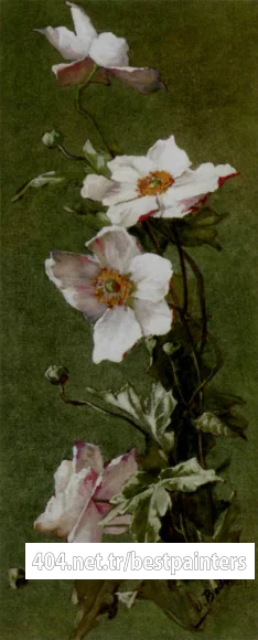 Bednar_Otto_Carnations