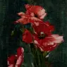 Bednar_Otto_Japanese_Anemones