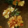 Bednar_Otto_Poppies