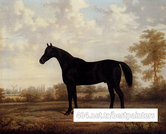Brown_E_Dark_Bay_Hunter_In_A_Wooded_Landscape