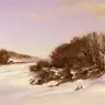 Bartholin_La_Cour_Janus_Andreas_Winter_Near_The_Lake