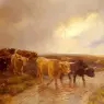 Barker_Wright_Highland_Cattle