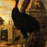 Barlow_Francis_A_Cassowary