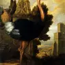 Barlow_Francis_An_Ostrich