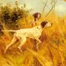 Blinks_Thomas_Two_Pointers_In_A_Landscape