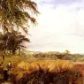 Dawson_Henry_Harvest
