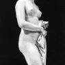 GIBSON_John_The_Tinted_Venus