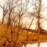 Garden_William_Fraser_Views_From_The_River