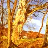 Inchbold_John_William_A_Study_In_March