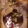 Adam_Julius_Playful_Kittens