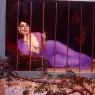 Grimberghe_Edmond_Comte_de_L-Odalisque