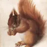HOFFMANN_Hans_Squirrel