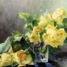Bucchi_Ermocrate_Le_Rose_Gialle