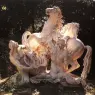 MARSY_GASPARD_The_Horses_of_the_Sun