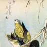 Hiroshige, Utagawa or Ando (Japanese, 1797-1858)