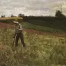 Country