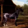 Agasse_Jacques_Laurent_Lord_Rivers_Roan_Mare_In_A_Landscape