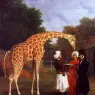Agasse_Jacques_Laurent_The_Nubian_Giraffe