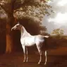 Agasse_Jacques_Laurent_White_Horse_in_Pasture