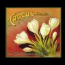 ca_orange_box_labels_92c