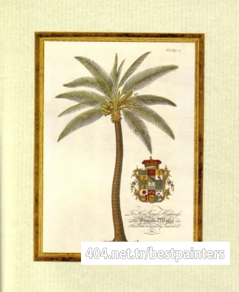 coconut_palm