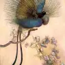 bird_of_paradise