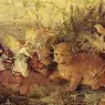 cat_among_fairies