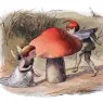 elf_and_fairy