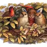 owl_and_fairy