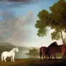 Classic S